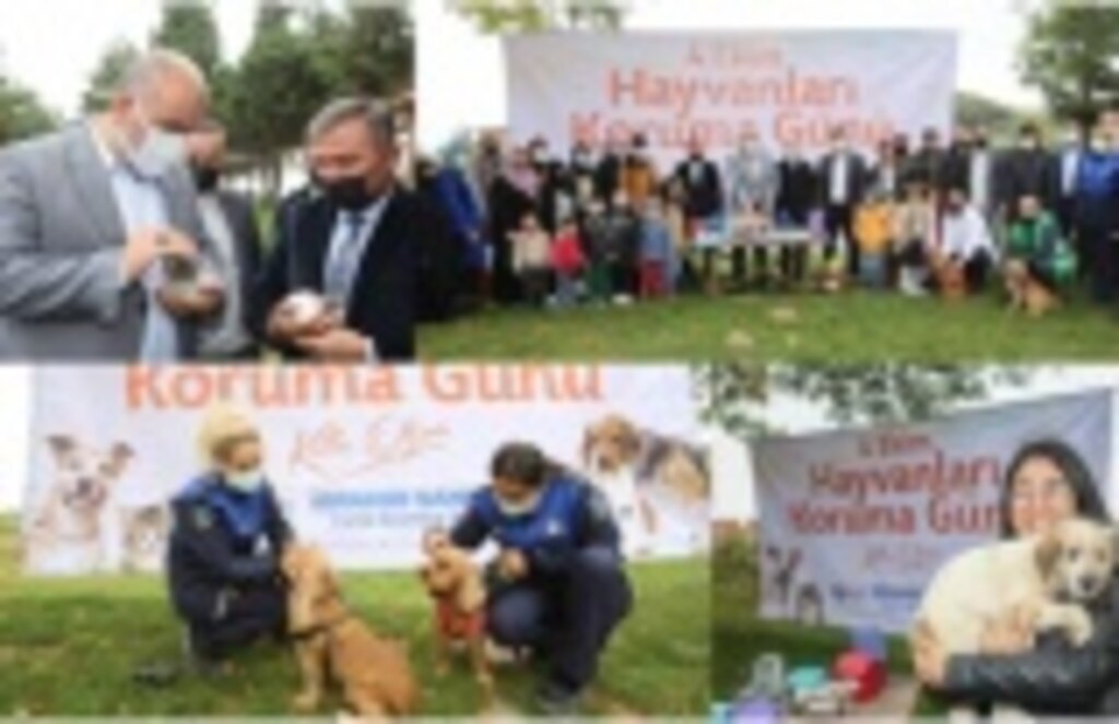 Canik Orman Okulu’nda Hayvanları Koruma Günü etkinliği