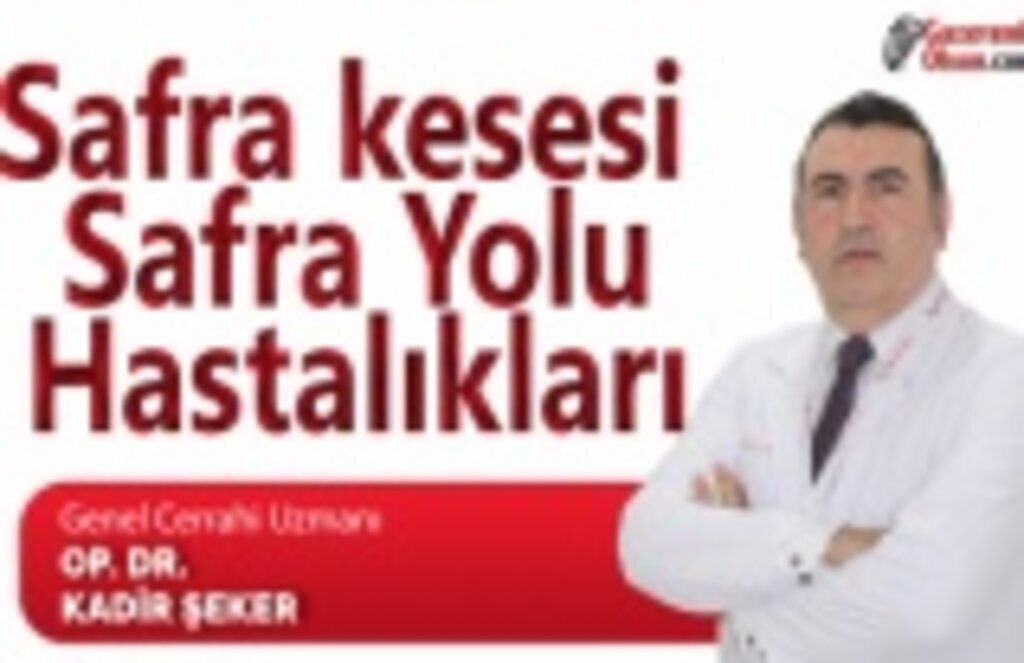 Safra kesesi ve Safra Yolu Hastalıkları