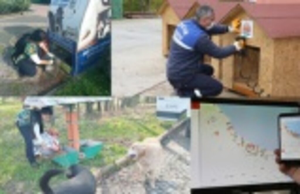 Atakum Belediyesi’nden sokak hayvanlarına yuva