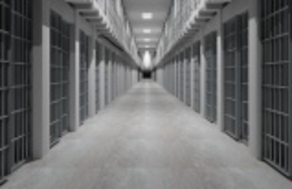 Ceza İnfaz Kurumu 2020 istatistikleri