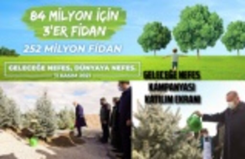 Geleceğe Nefes kampanyası fidan bağışı, Geleceğe Nefes başvurusu, fidan nasıl bağışlarım?