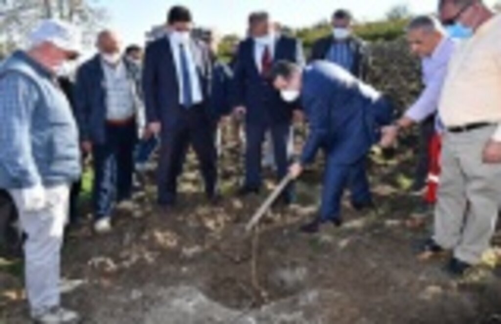 İlk fidanı Ortahisar Belediye Başkanı Genç dikti