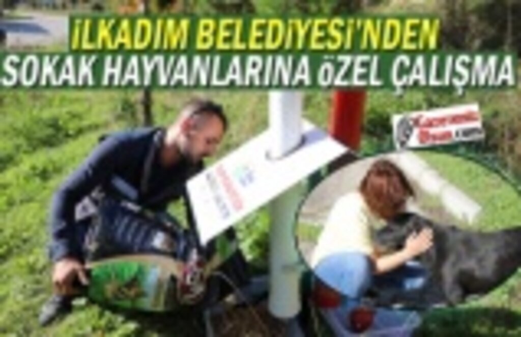 İlkadım Belediyesi Can Dostları Unutmuyor