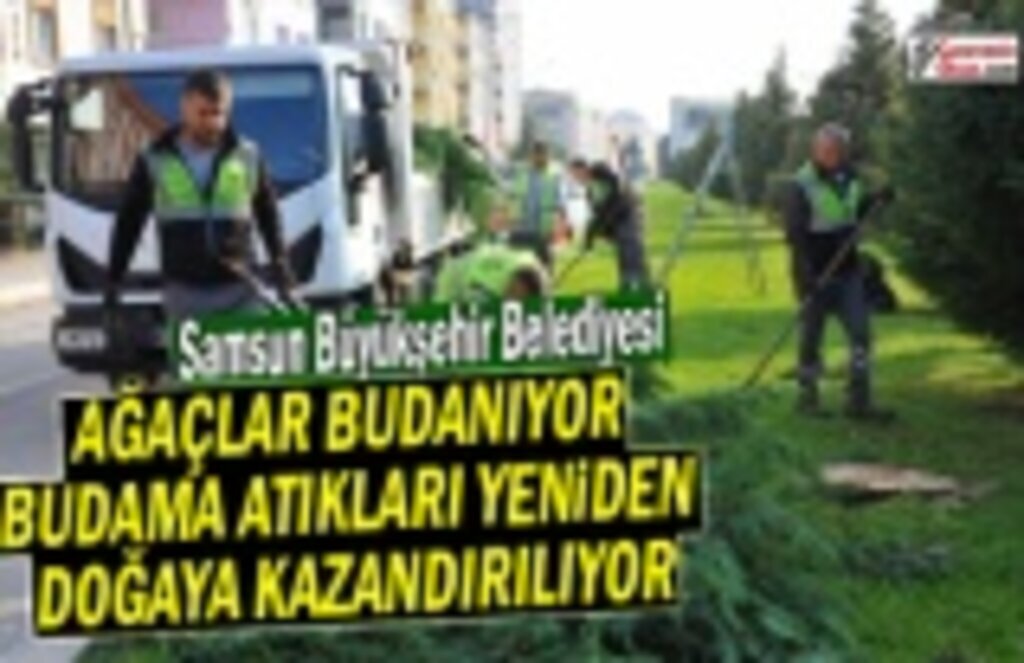 Samsun'da Ağaçlar budanıyor atıklar doğaya geri kazandırılıyor
