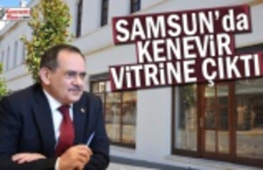 Samsun'da Kenevir vitrine çıktı