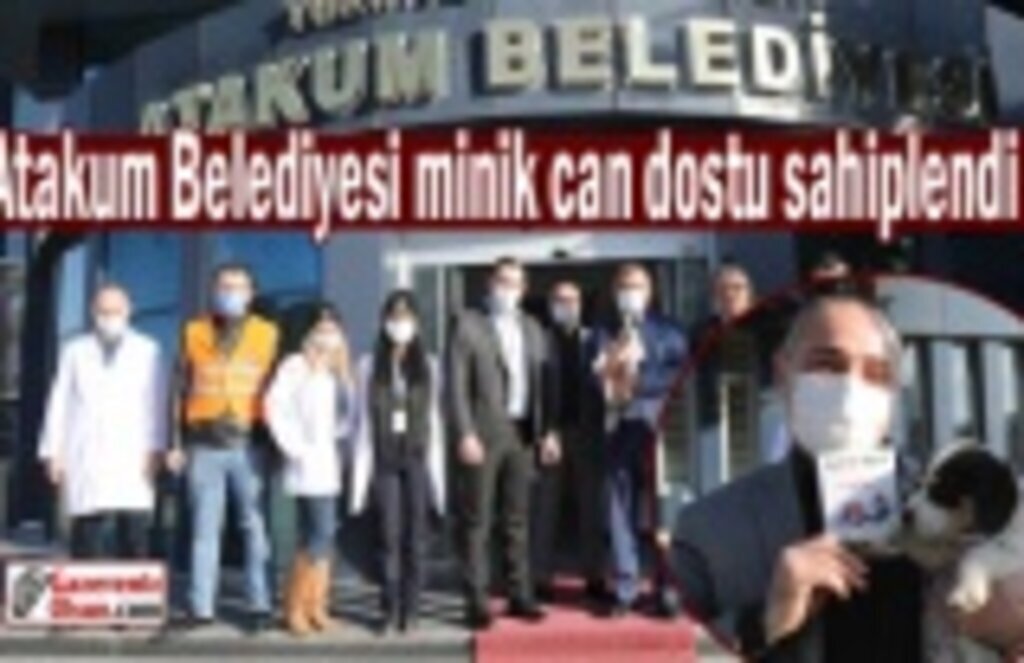 Atakum Belediyesi minik can dostu sahiplendi