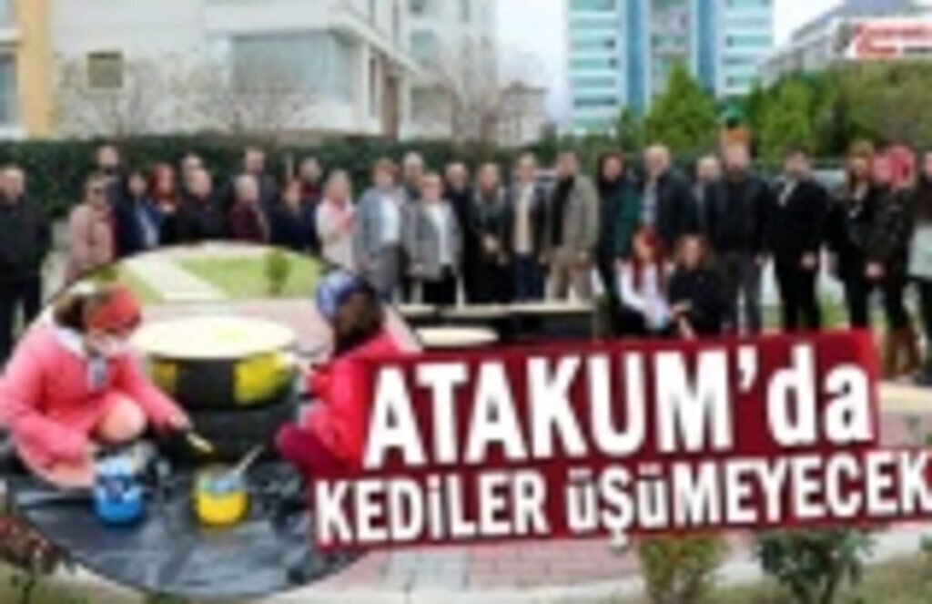 Atakum’da bu kış kediler üşümeyecek