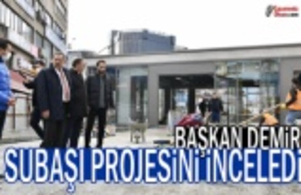 Başkan Demir Subaşı projesini inceledi