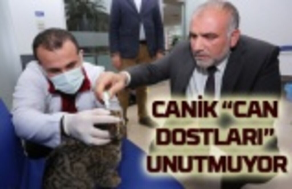 Canik Belediyesi Can Dostlarını unutmuyor