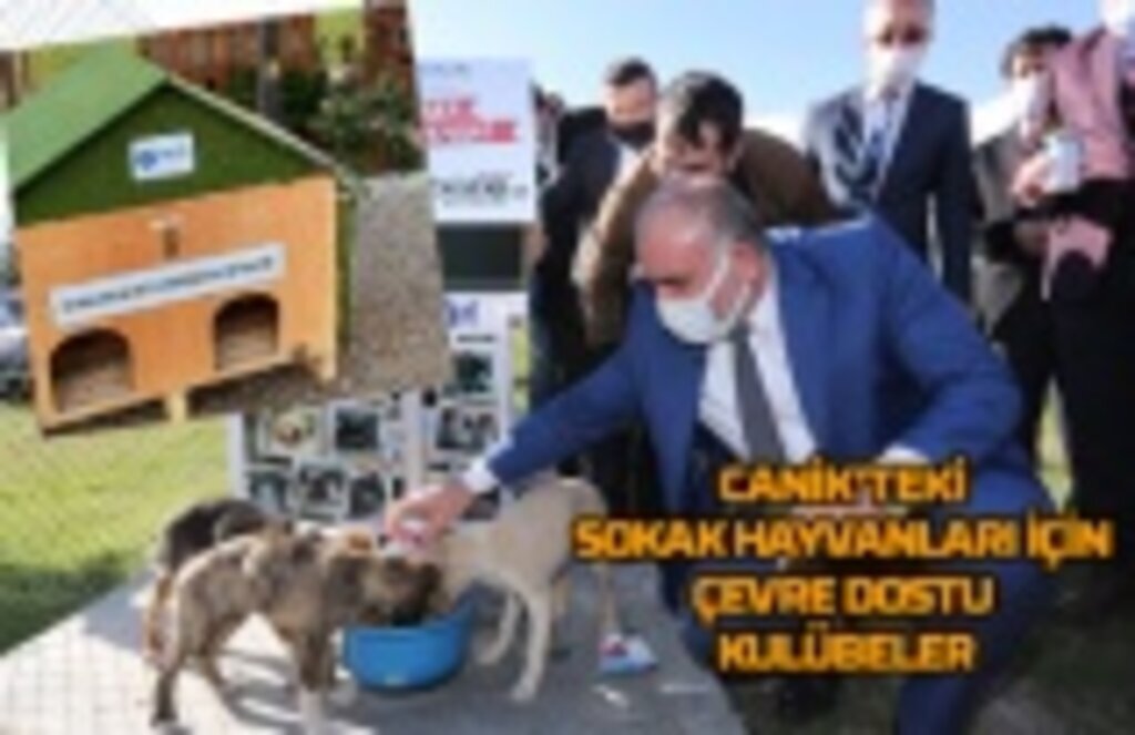 Canik’te çocuklar sokak hayvanları için ‘Çevre Dostu’ kulübeler hazırlıyor
