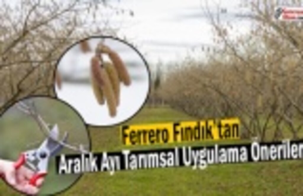 Ferrero Fındık’tan Aralık Ayı Tarımsal Uygulama Önerileri