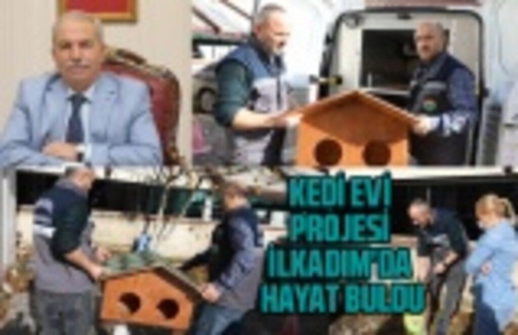 İlkadım Belediyesi'nden Kedi Evi Projesi