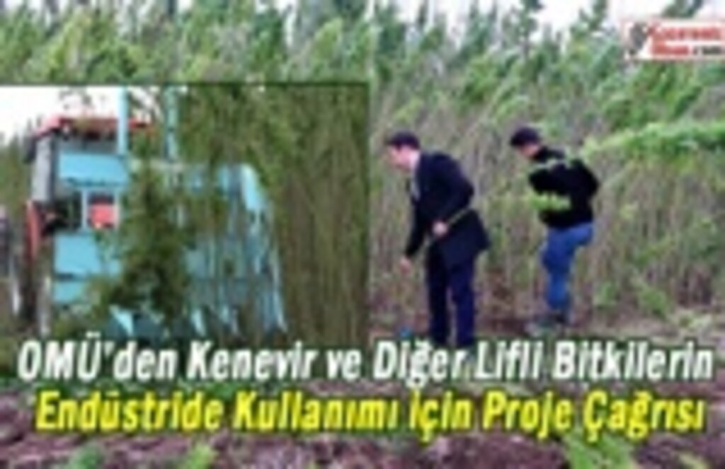 OMÜ’den Kenevir ve Diğer Lifli Bitkilerin Endüstride Kullanımı için Proje Çağrısı