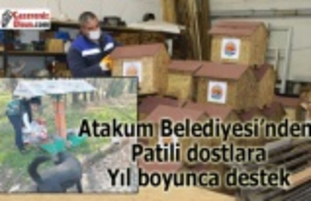 Atakum Belediyesi 2021’de de patili dostların yardımına koştu