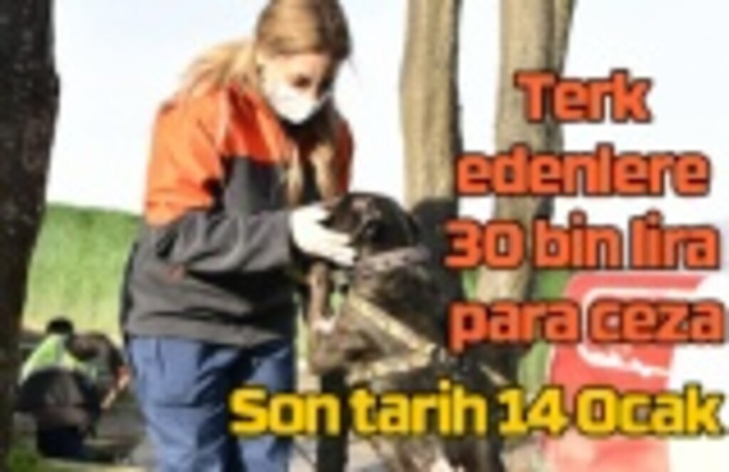 Hayvanlarını sokağa terk edenlere 30 bin lira ceza kesilecek!