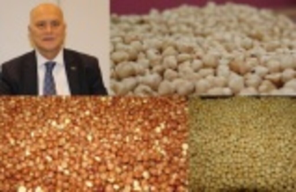 KFMİB Başkanı Sevinç, Fındık ihraç rekoru değerlendirildi