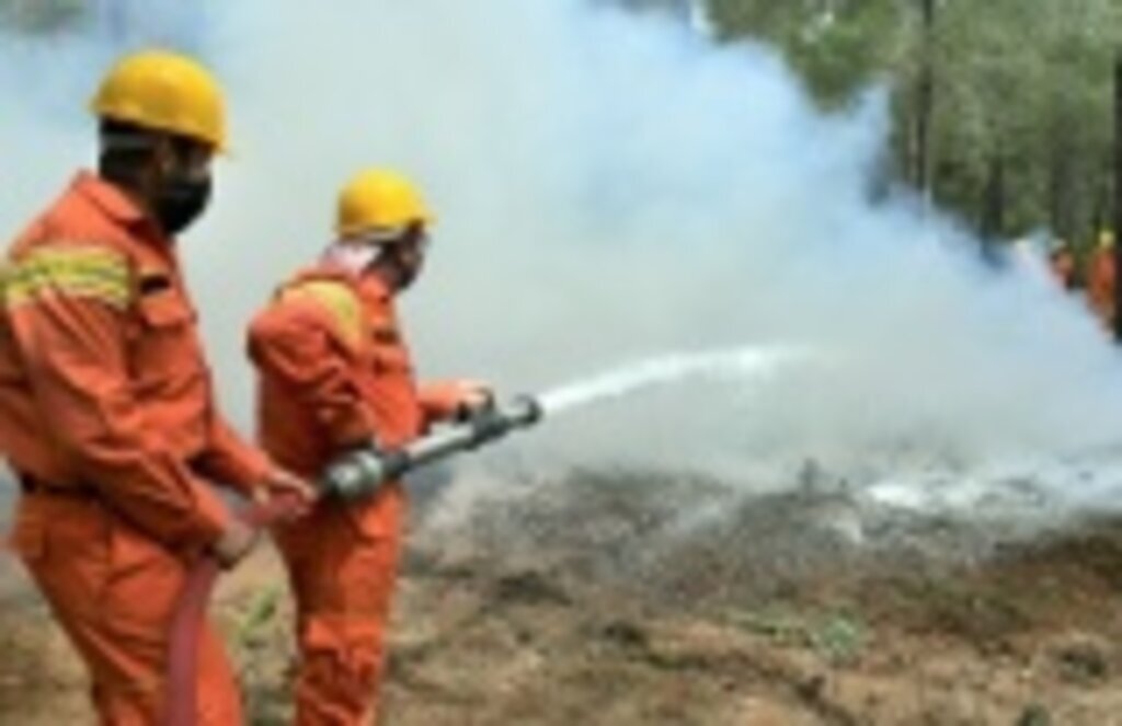 OGM'den Orman yangınlarına gönüllü mücadele