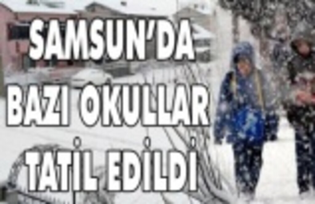Samsun'da hangi okullar tatil edildi? Yarın Samsun'da hangi okullar kar tatili!