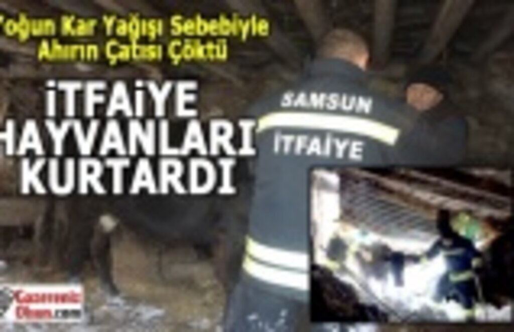 Samsun'da Hayvanları İtfaiye kurtardı
