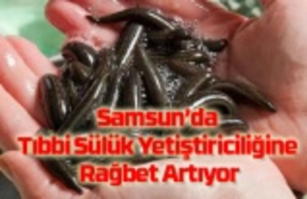 Samsun’da Tıbbi Sülük Yetiştiriciliğine Rağbet Artıyor