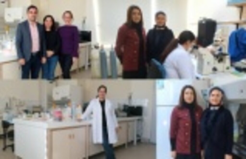 Tıp Fakültesi Öğretim Üyelerinden TÜBİTAK Başarıları