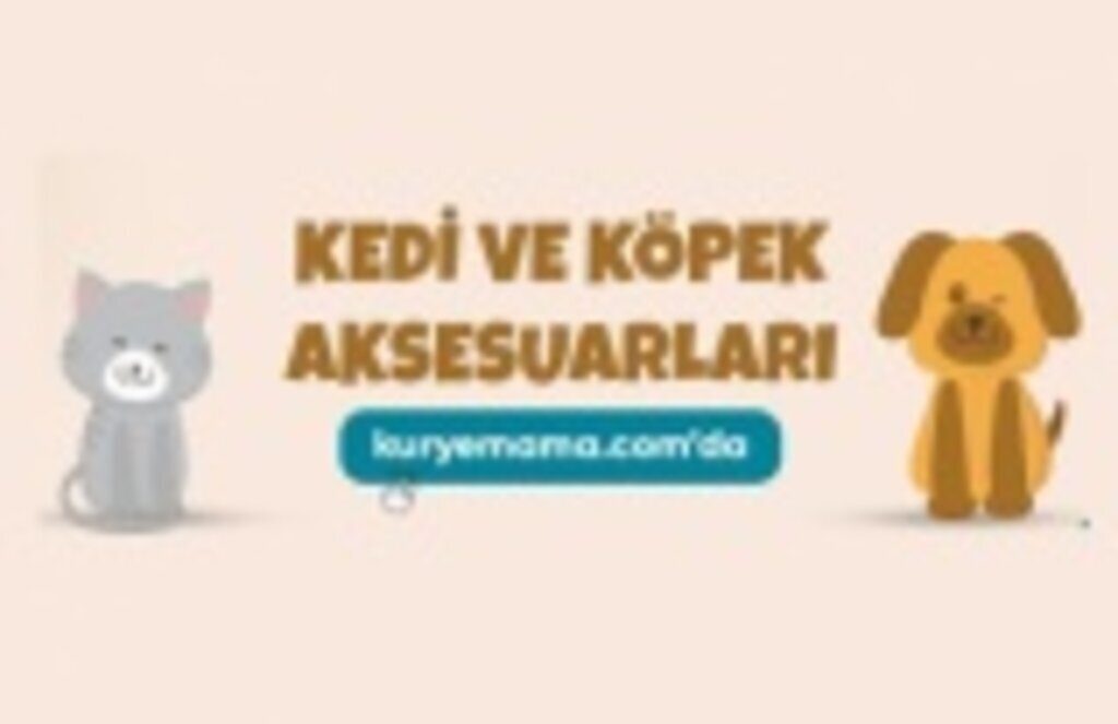 Yaşlı köpek konservesi Özel ırk kedi maması Kurye Mama İle Kapıda Ödeme İmkanı