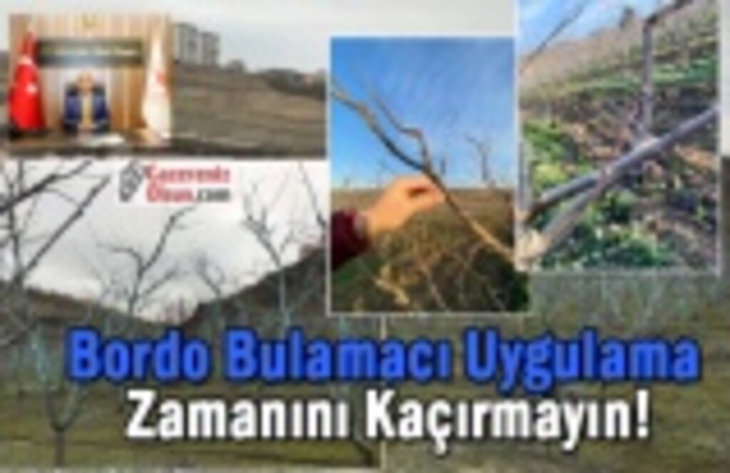 Bordo Bulamacı Uygulama Zamanını Kaçırmayalım!
