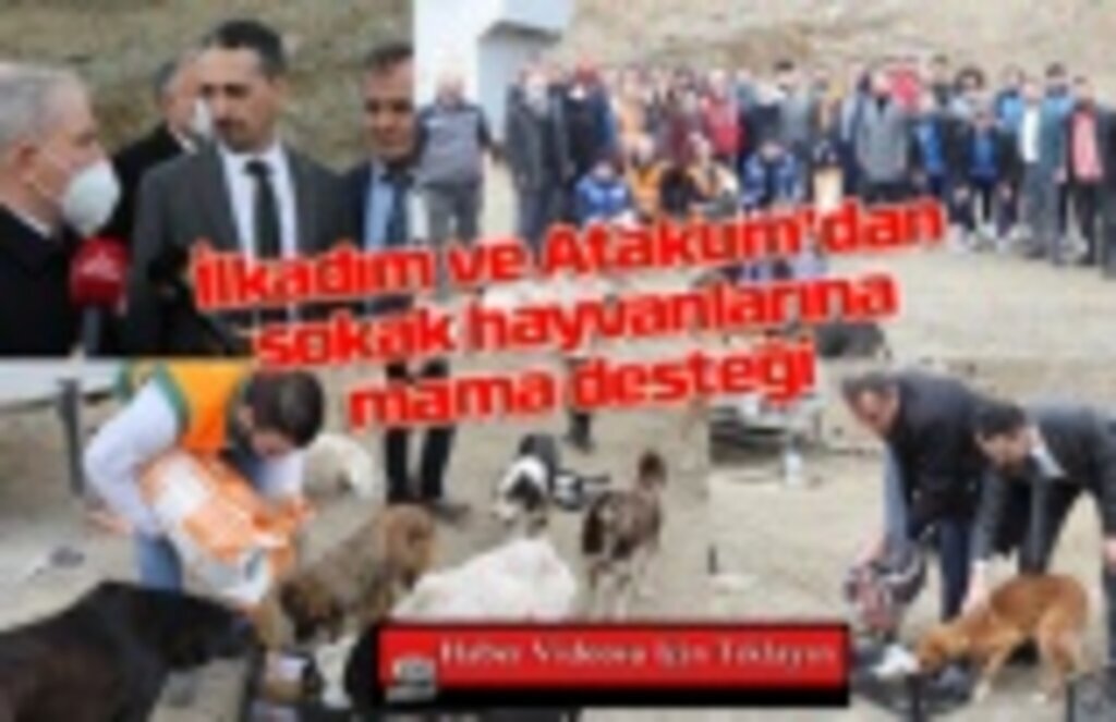 İlkadım ve Atakum’dan sokak hayvanlarına mama desteği