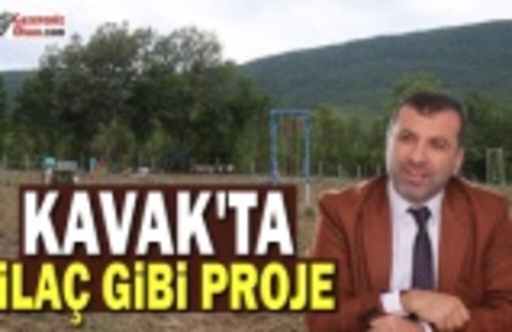 Kavak'ta Tıbbi ve Aromatik Bitki Yetiştiriciliği Başlıyor