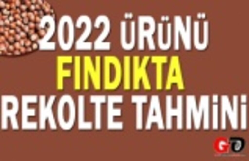 2022 ürünü fındıkta rekolte tahmini