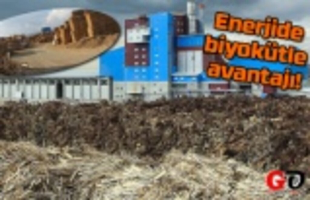 Enerjide biyokütle avantajı! Alternatif ve temiz enerji kaynağı