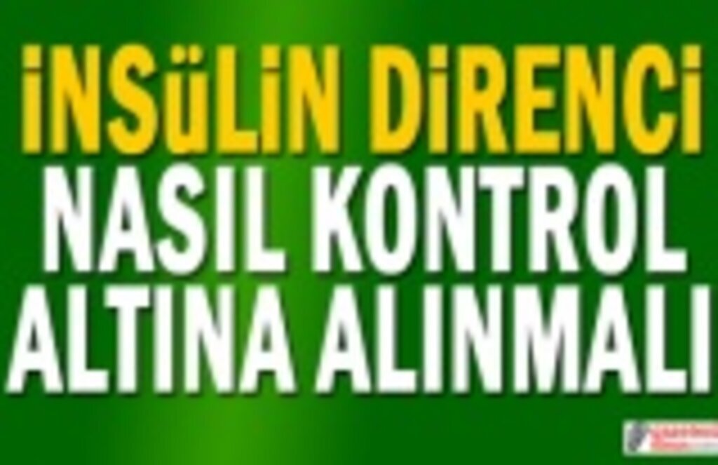 İnsülin Direnci Nedir, Nasıl Kontrol Altına Alınmalıdır