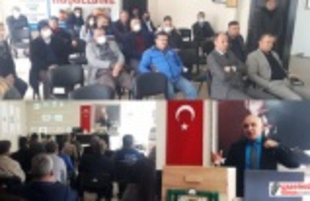 Samsun'da arı ölümleri konuşuldu! Arı Haberleri