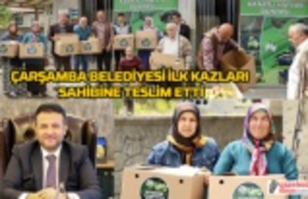 Çarşamba Belediyesi'nden vatandaşa kaz desteği