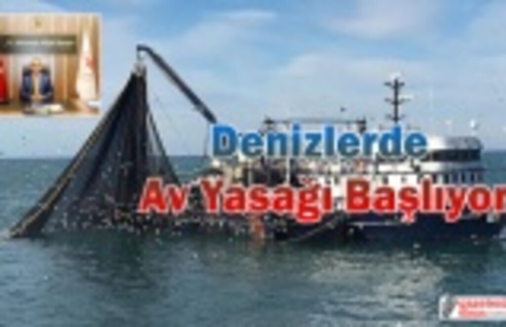 Denizlerde av yasağı ne zaman başlıyor! Hangi balıkları avlamak yasak?