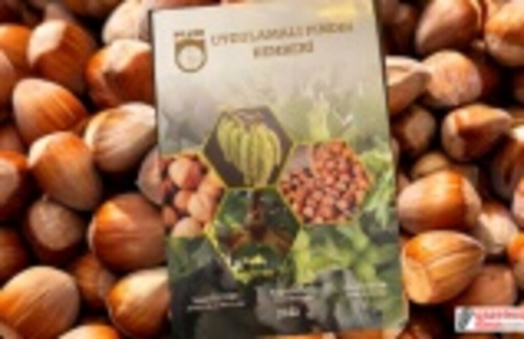 Fındık ihracatçılarından Uygulamalı Fındık Rehberi Kitabı