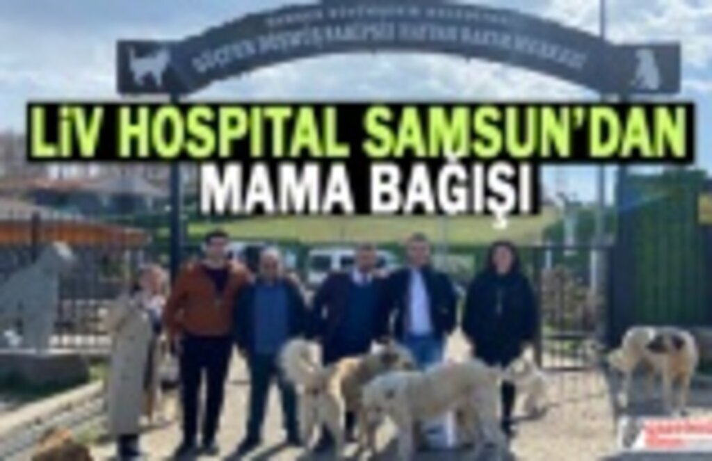 Liv Hospital Samsun'dan Mama Bağışı