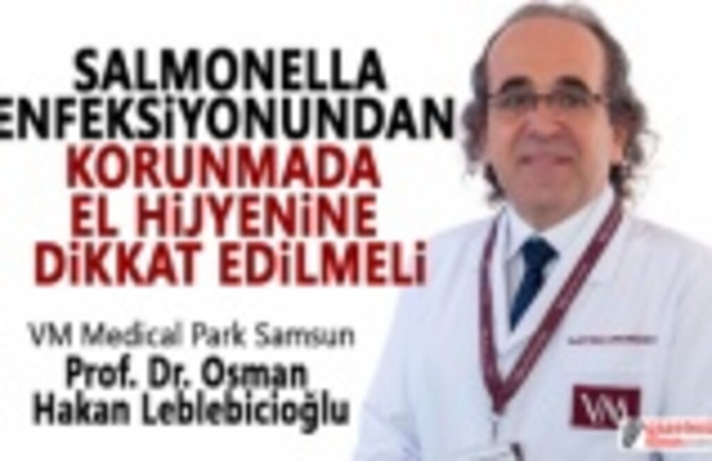 Salmonella Enfeksiyonu Nedir Tedavisi Nasıl Olur?