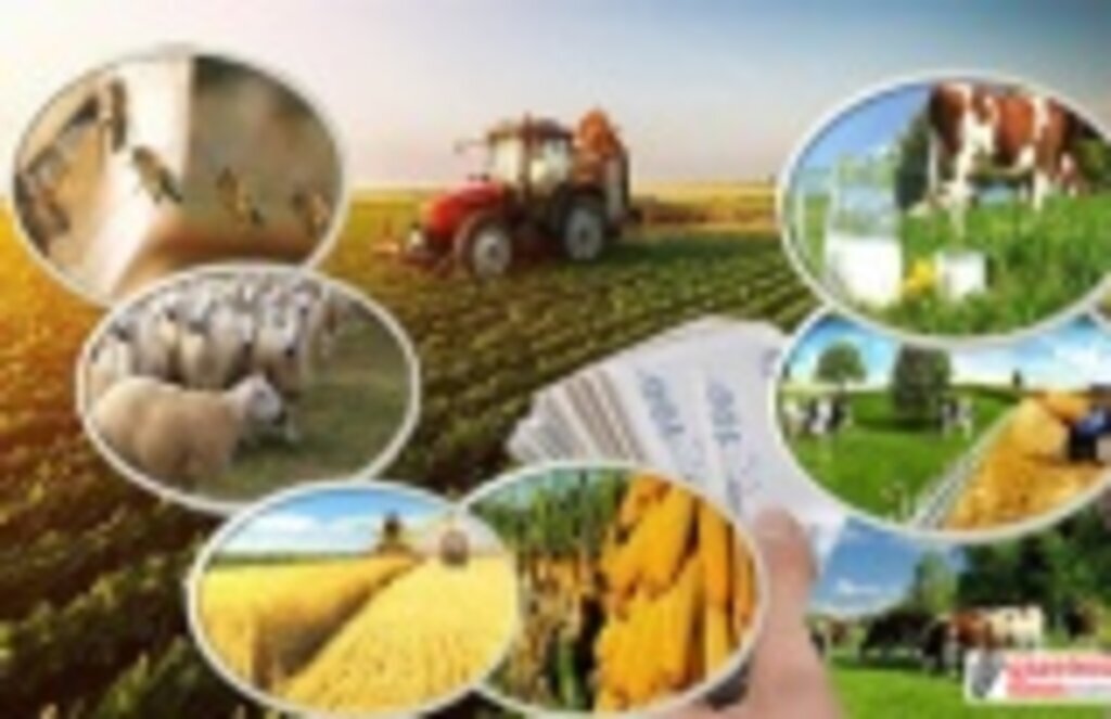 Tarımsal Destekleme ödemesi çiftçilerin hesaplarında