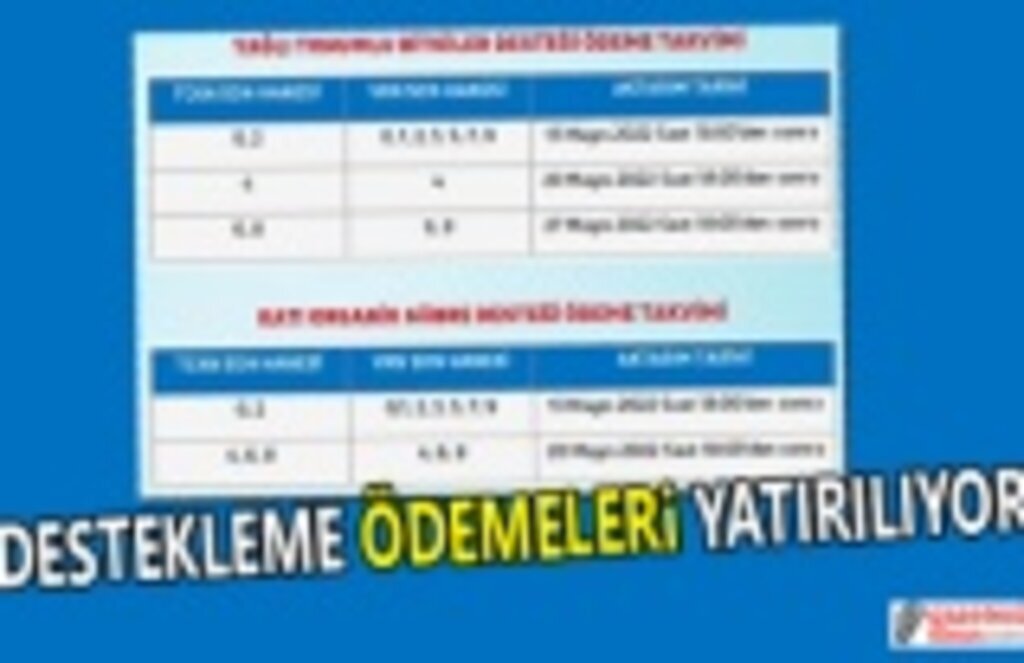 3 Milyar 177 Milyon TL’lik Destekleme Ödemeleri Hesaplara Yatırılıyor
