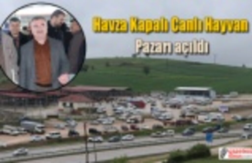 Havza Kapalı Canlı Hayvan Pazarı açıldı