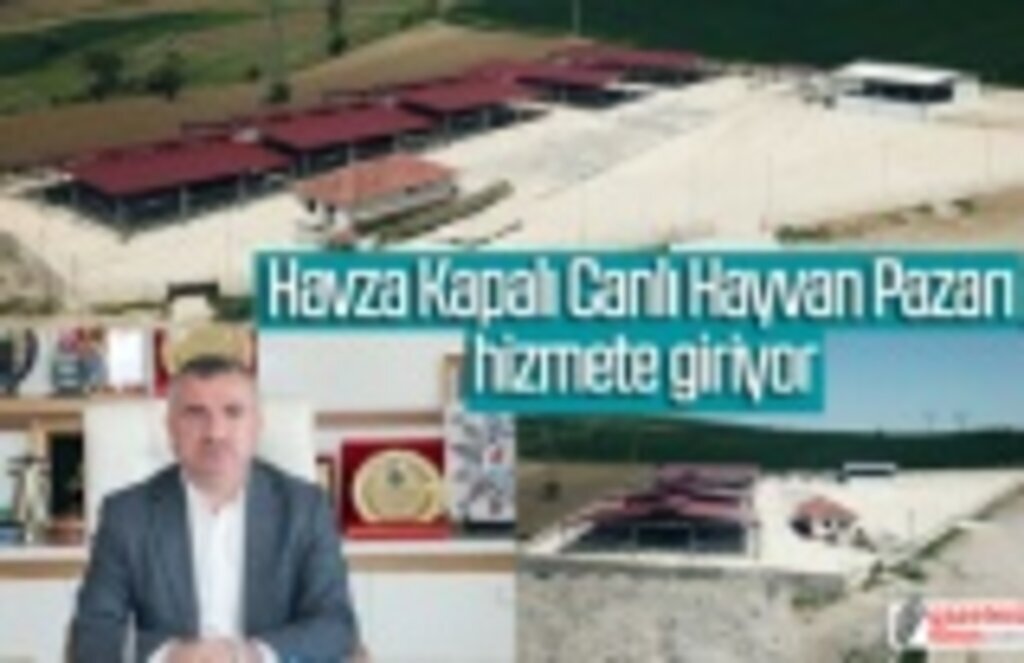 Havza Kapalı Canlı Hayvan Pazarı hizmete giriyor