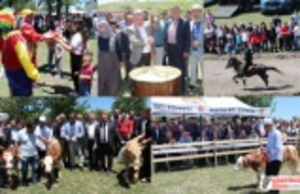 Havza Yayla Şenliği İle Coştu