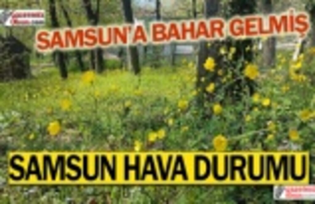 Samsun'da bugün hava nasıl olacak?
