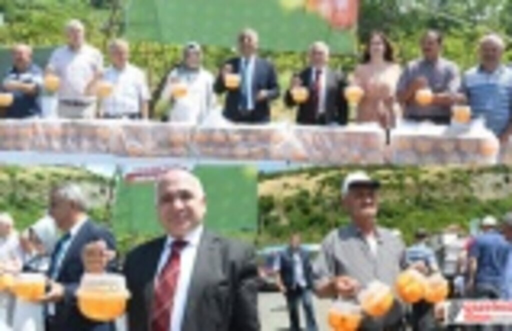 Akdeniz Meyve Sineği tuzağı dağıtıldı! Samsun Haber