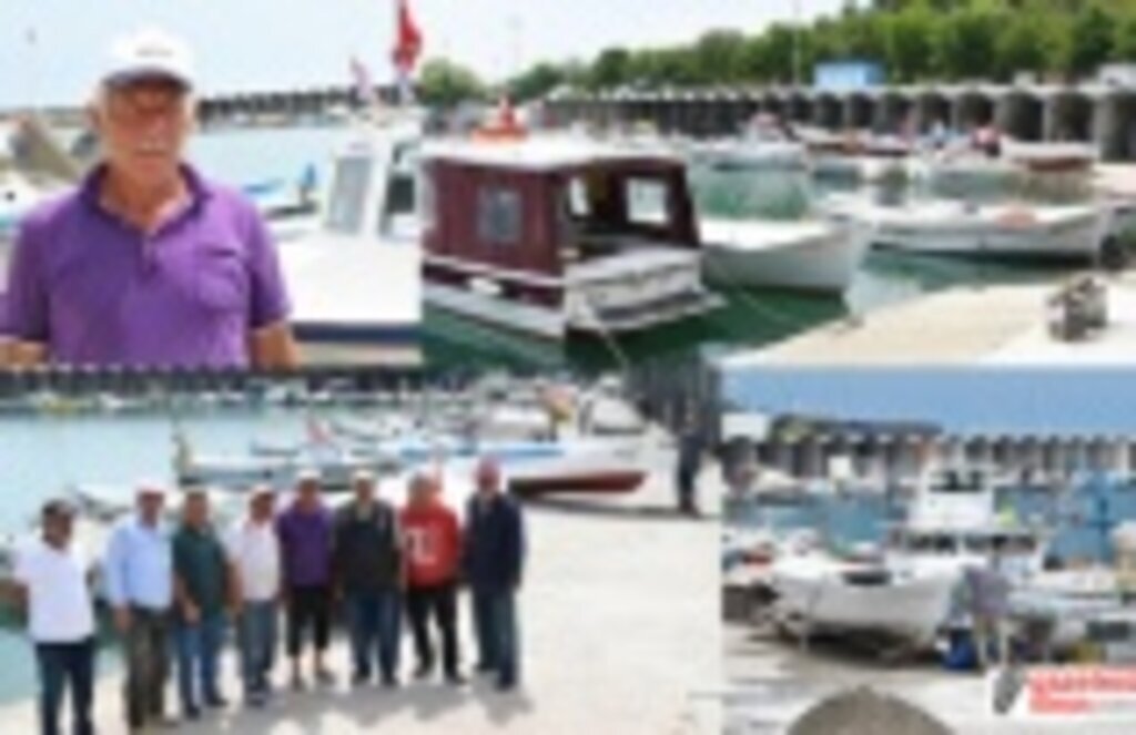 Batıpark Balıkçı Barınağı'nda sundurmalar kaldırıldı