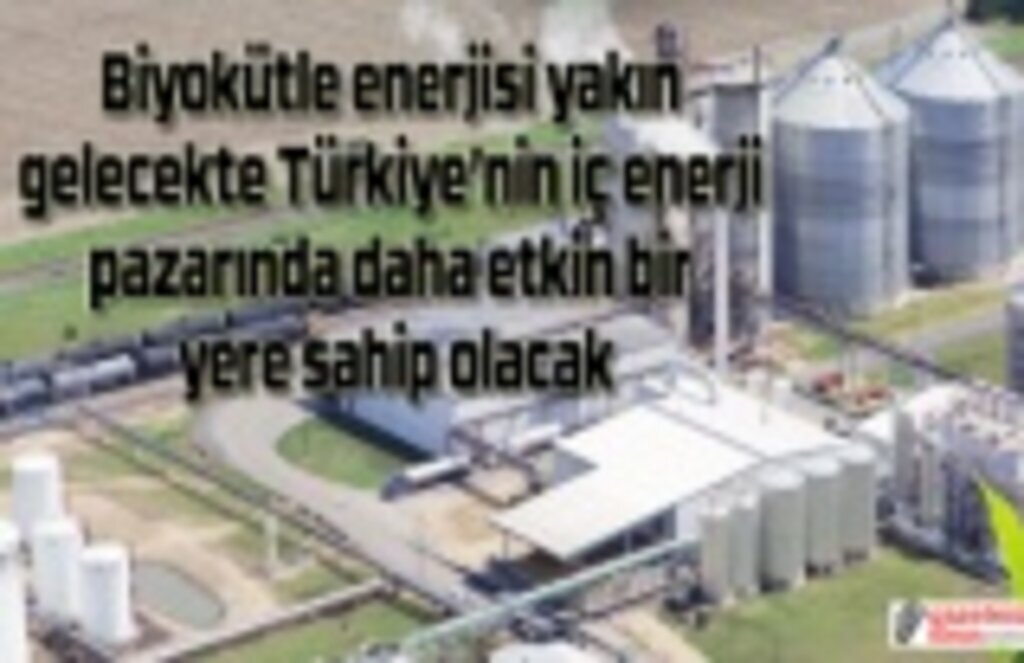 Biyokütle enerjisi iç pazarda etkin bir yere sahip olacak