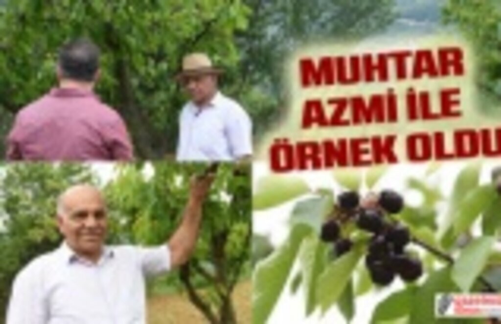 Muhtar çiftçilikte örnek olup mahalleliyi üretime teşvik etti!
