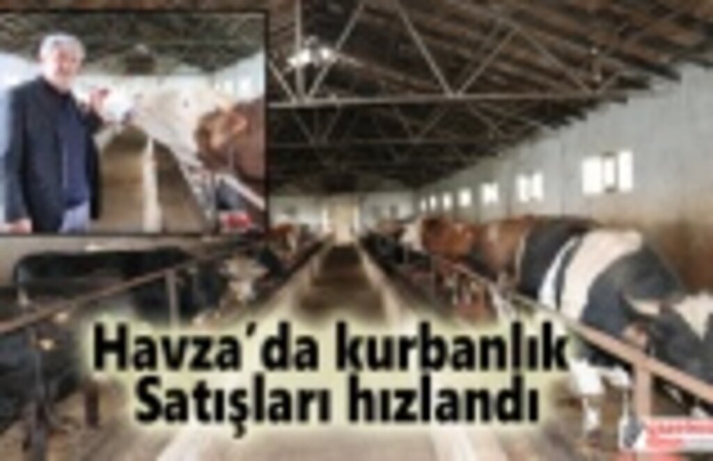 Havza’da kurbanlık satışları hızlandı