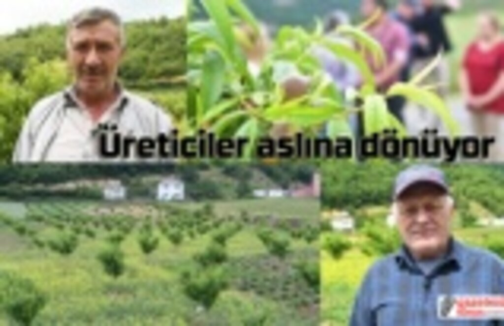 Tarımsal destekler üreticileri aslına döndürüyor